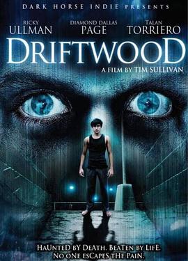 电影《地狱管教所 Driftwood》高清在线免费观看