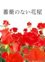 追剧兔《没有玫瑰的花店 薔薇のない花屋》免费在线观看