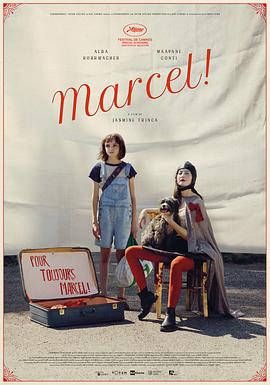 追剧兔《马赛尔 Marcel!》免费在线观看