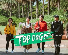 追剧兔《TOP DOG》免费在线观看