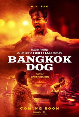 追剧兔《曼谷战狼 Bangkok Dog》免费在线观看