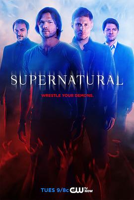 追剧兔《邪恶力量 第十季 Supernatural Season 10》免费在线观看