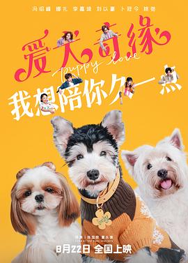 追剧兔《爱犬奇缘》免费在线观看