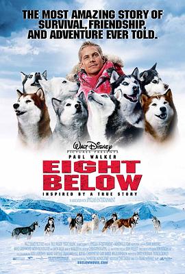 追剧兔《南极大冒险 Eight Below》免费在线观看