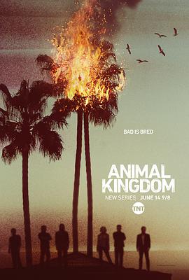 追剧兔《野兽家族 第一季 Animal Kingdom Season 1》免费在线观看