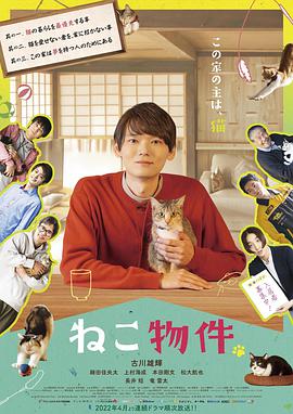 追剧兔《猫物件 ねこ物件》免费在线观看