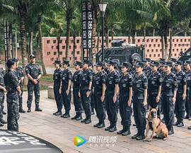 追剧兔《女特警》免费在线观看