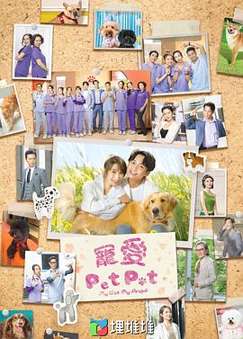 追剧兔《宠爱Pet Pet粤语》免费在线观看