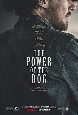 追剧兔《犬之力 The Power of the Dog》免费在线观看