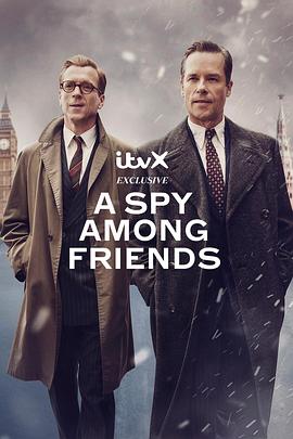 追剧兔《敌友难辨 A Spy Among Friends》免费在线观看